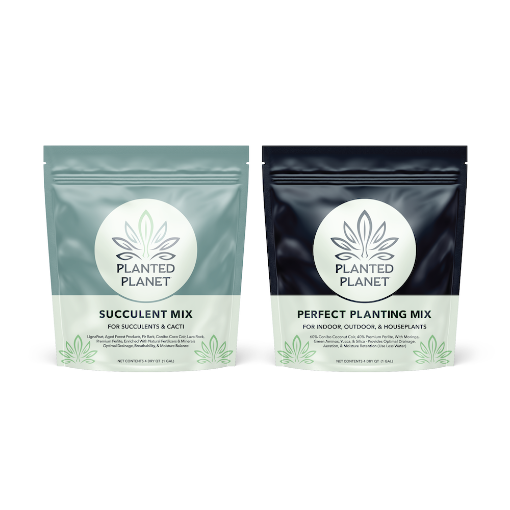 The Duo: Succulent Mix & Perfect Planting Mix