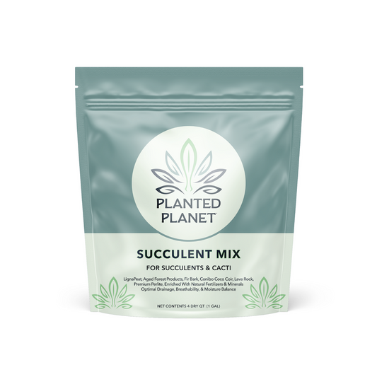 Succulent Mix for Succulents & Cacti
