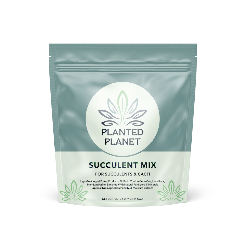 The Duo: Succulent Mix & Perfect Planting Mix