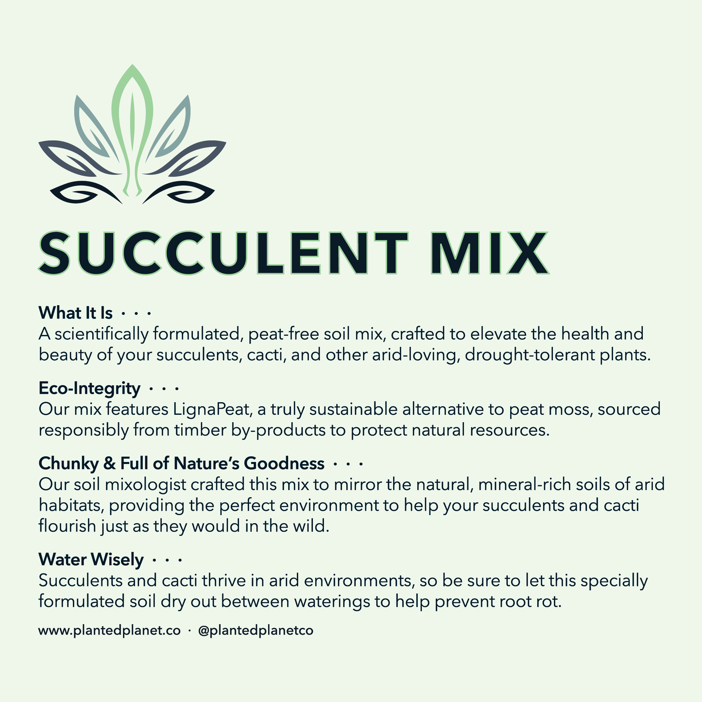 Chunky Succulent Mix